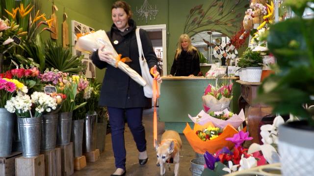 Woman with her assistance animal in a florist